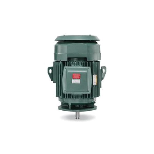75Hp, 1780Rpm, 3Ph, 60Hz, 365Hp, 1482M, Tefc